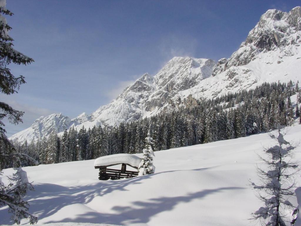 Sonnhof Am Hochkoenig Hotell Mühlbach am Hochkönig Eksteriør bilde